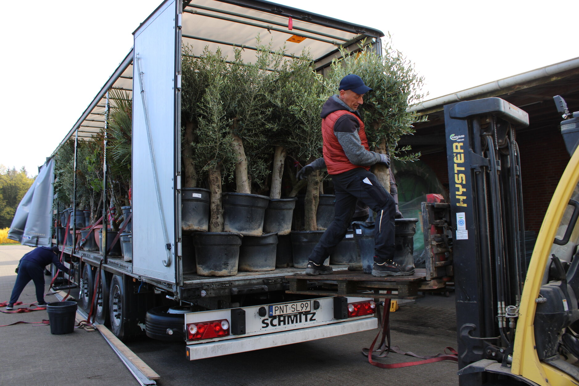 Lkw wird mit Schnittgrün termingerecht verladen